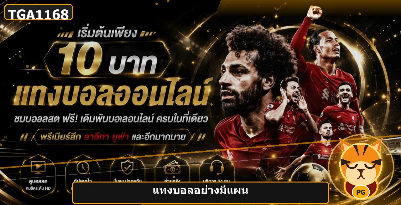 แบนเนอร์ TGA1168 แทงบอลออนไลน์อย่างมีแผน